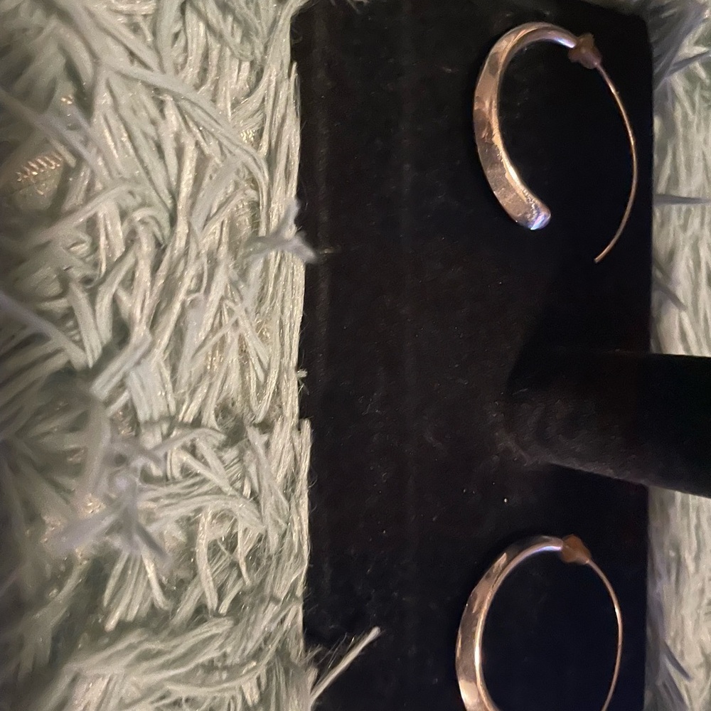 Elegant Silver Hoop Earrings